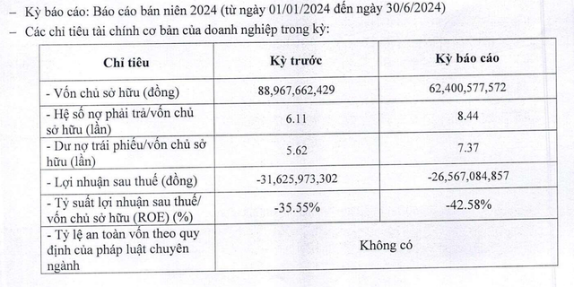 Thông tin tài chính nửa đầu năm 2024 của Năng lượng Hoàng Sơn