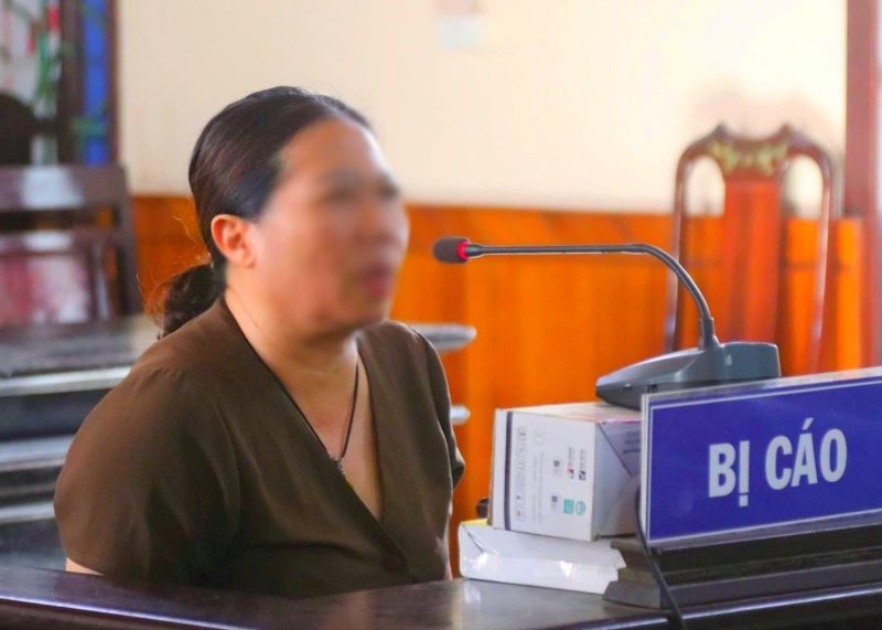 Trốn thuế, nữ Giám đốc nhà máy gạch ở Hà Tĩnh lĩnh án