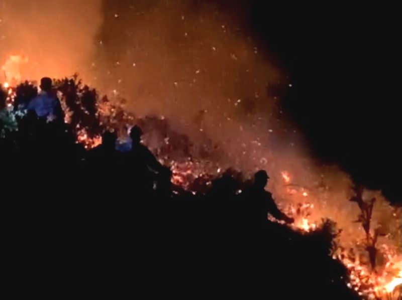 Hà Tĩnh: Hàng trăm người tham gia chữa cháy rừng trong đêm