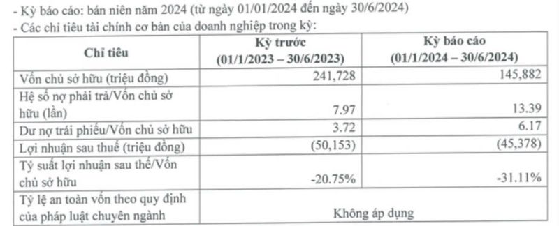 Thông tin tài chính nửa đầu năm 2024 của Phú Thịnh Phát