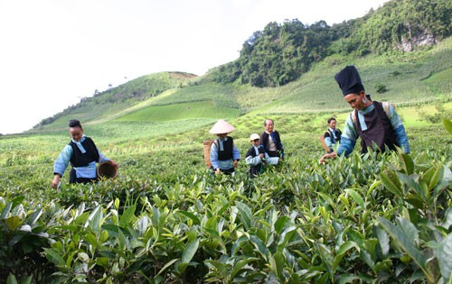 Nhiệm vụ, trách nhiệm của Hội đồng thẩm định điều chỉnh Chương trình mục tiêu quốc gia. Ảnh internet.