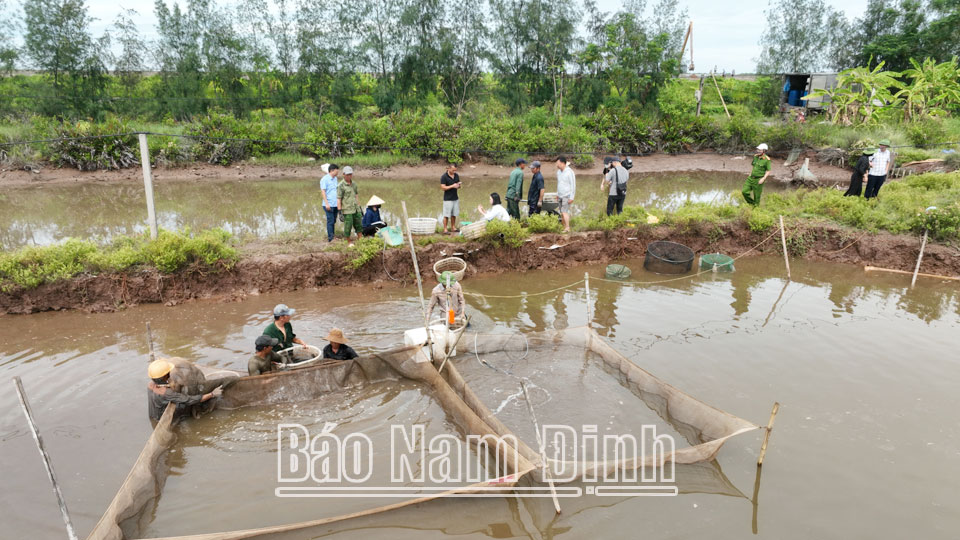 Người dân chủ động thu hồi