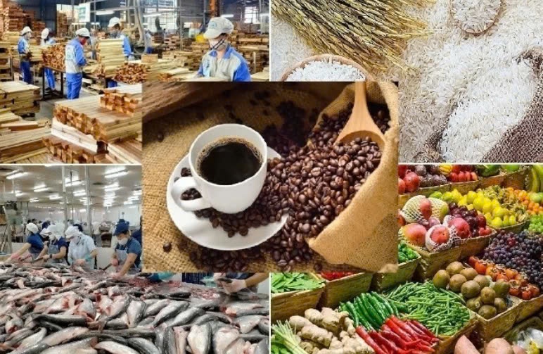 Hiệp định Thương mại tự do Việt Nam – EU (EVFTA) sau 4 năm thực thi đã tạo sức bật mới cho thương mại – đầu tư song phương.