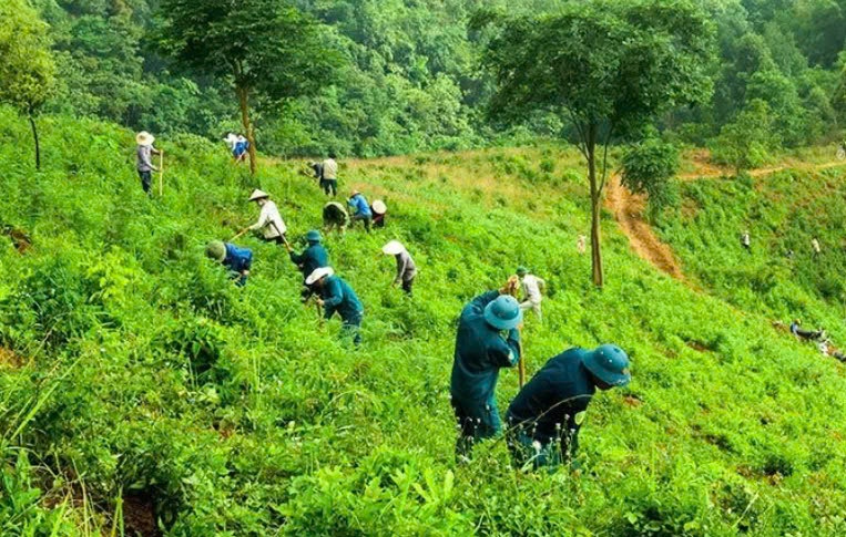 Các chính sách xanh của EU đang đặt ra hàng loạt thách thức mới cho doanh nghiệp xuất khẩu khi khối thị trường này yêu cầu ngày càng nghiêm ngặt hơn đối với hàng hóa nhập khẩu dựa trên tiêu chuẩn về sản xuất bền vững.