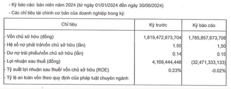 Các chỉ tiêu tài chính của Phan Vũ nửa đầu năm 2024