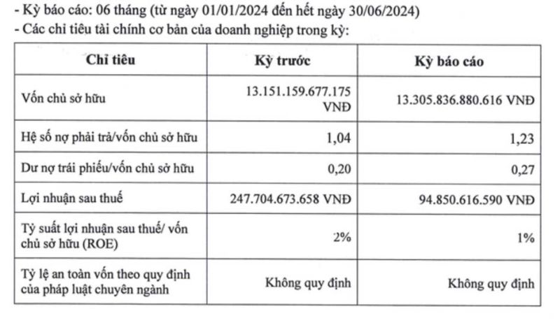 Tình hình tài chính của Đầu tư Nam Long nửa đầu năm 2024