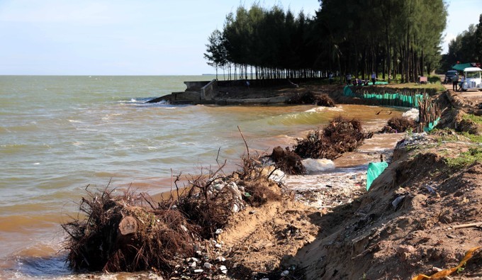 Hơn 3 km bờ biển qua các xã Hoằng Trường, Hoằng Thanh, Hoằng Phụ của huyện Hoằng Hóa (tỉnh Thanh Hóa) đang xảy ra hiện tượng bị nước biển xâm thực.