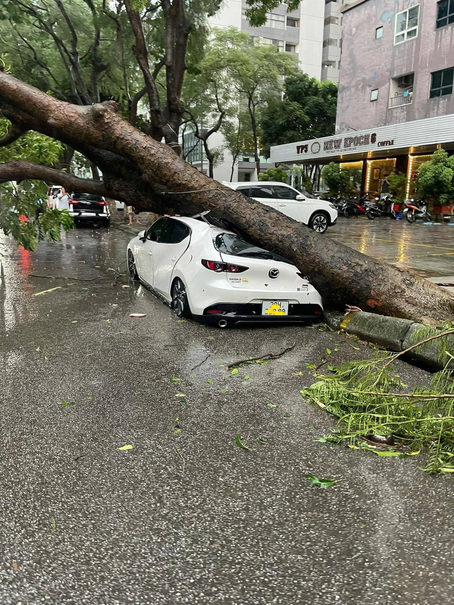 Bão Yagi đổ bộ gây thiệt hại cho nhiều khu vực trong nội thành Hà Nội