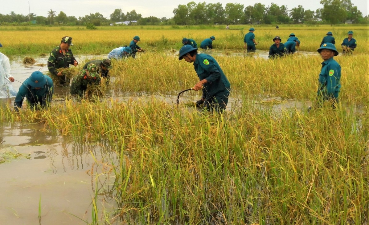 Hiện có hơn 1.000 lực lượng bộ đội đang hỗ trợ người dân huyện Trần Văn Thời khắc phục khó khăn do ngập lụt