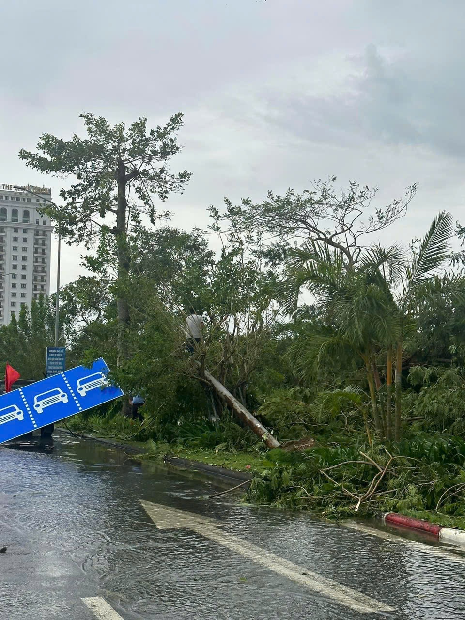 Sơ bộ, toàn thành phố có 807 chiếc biển báo giao thông hư hỏng