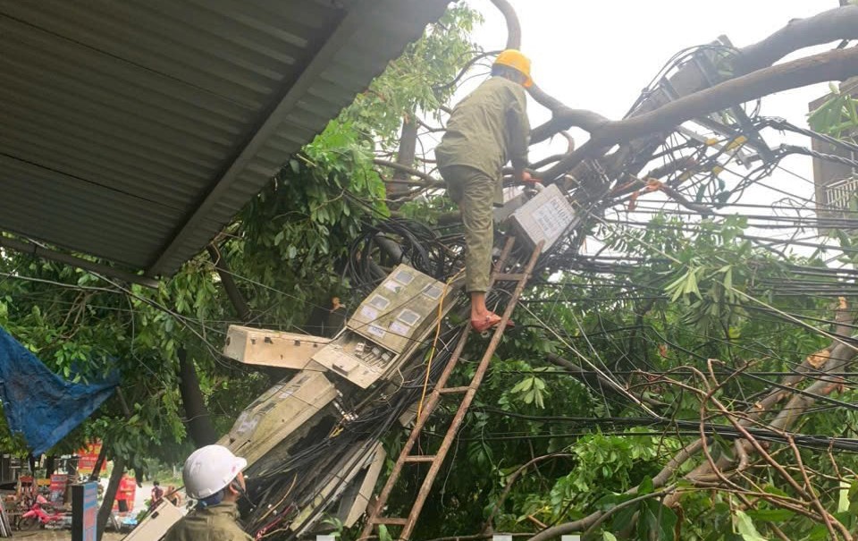 Cây xanh đổ đè vào cột điện, khiến cho việc khắc phục sự cố gặp nhiều khó khăn.