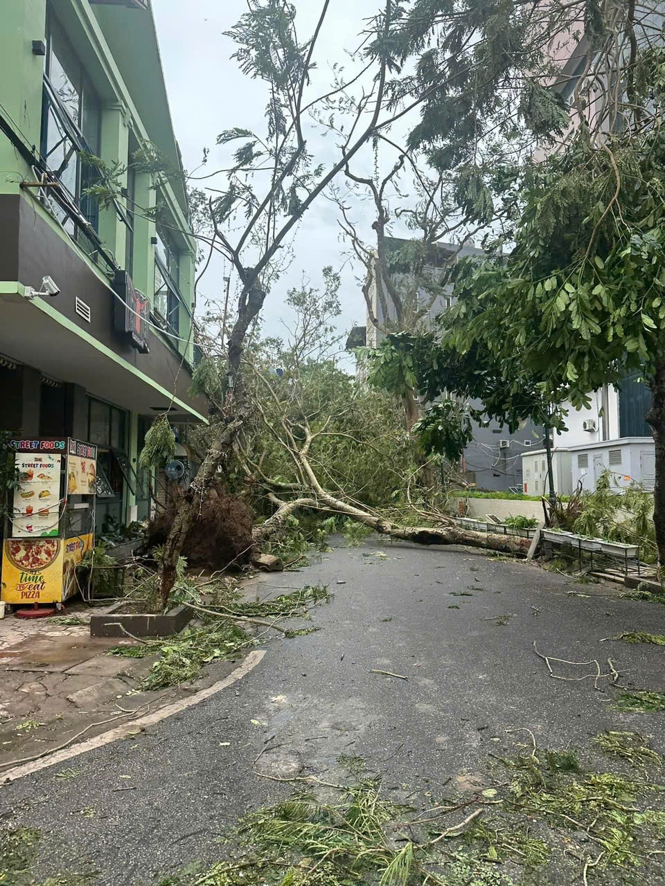 Sơ bộ, toàn thành phố có 6.059 cây xanh gãy, đổ