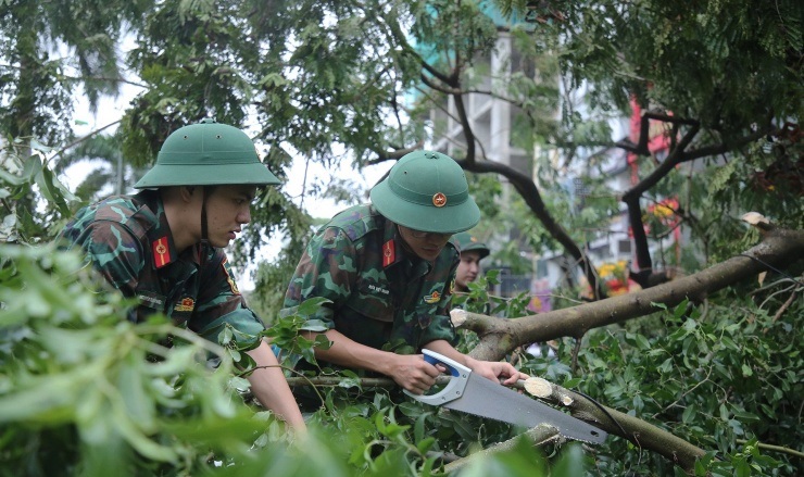 Lực lượng chức năng Hà Nội khắp phục hậu quả cây đổ sau bão số 3