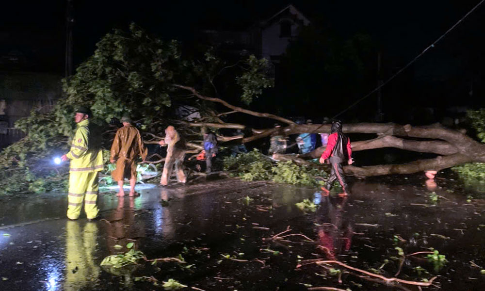 Lực lượng chức năng huyện Tân Yên thu dọn cây bị đổ trên đường Hoàng Hoa Thám, thị trấn Cao Thượng.