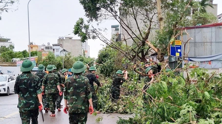 Lực lượng chức năng dọn dẹp cây đổ sau bão.