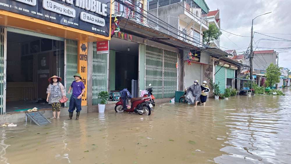 Quốc lộ 31, đoạn qua thị trấn An Châu (Sơn Động) ngập sâu.