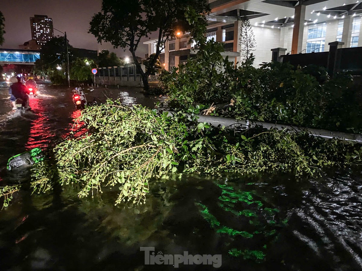 Nước ngập và cây đổ ở nội thành Hà Nội.