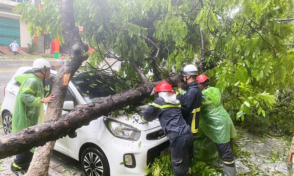 Lực lượng chức năng đang xử lý sự cố cây xanh đè vào xe của người dân.