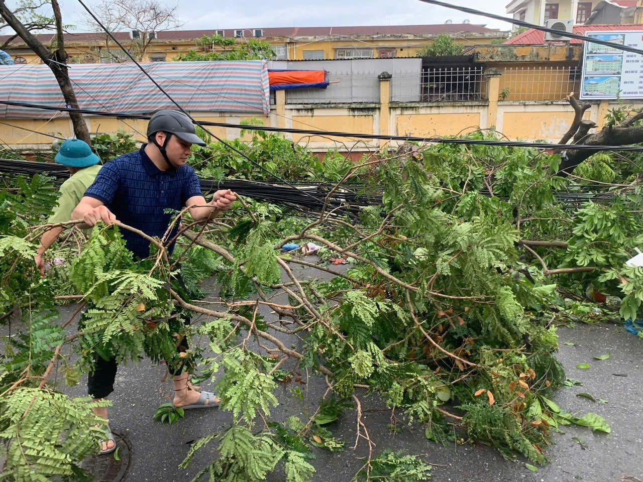 Một lãnh đạo phường tại quận Lê Chân hỗ trợ dọn dẹp cây xanh tại Hải Phòng Một lãnh đạo phường tại quận Lê Chân hỗ trợ dọn dẹp cây xanh tại Hải Phòng