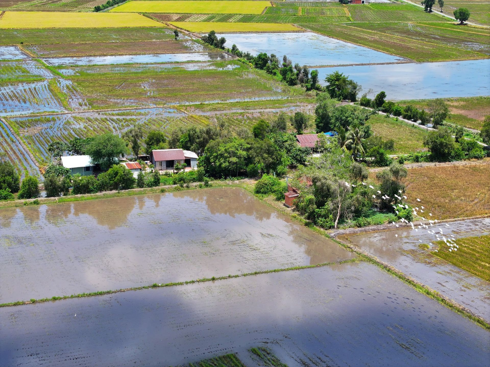 Tây Ninh: Người dân gặp khó vì quy hoạch treo