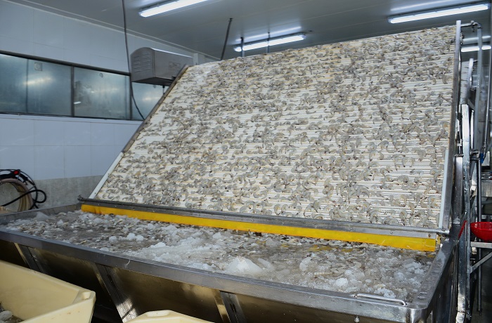 Cà Mau dự kiến hỗ trợ từ 63 doanh nghiệp nhỏ và vừa trong năm 2025