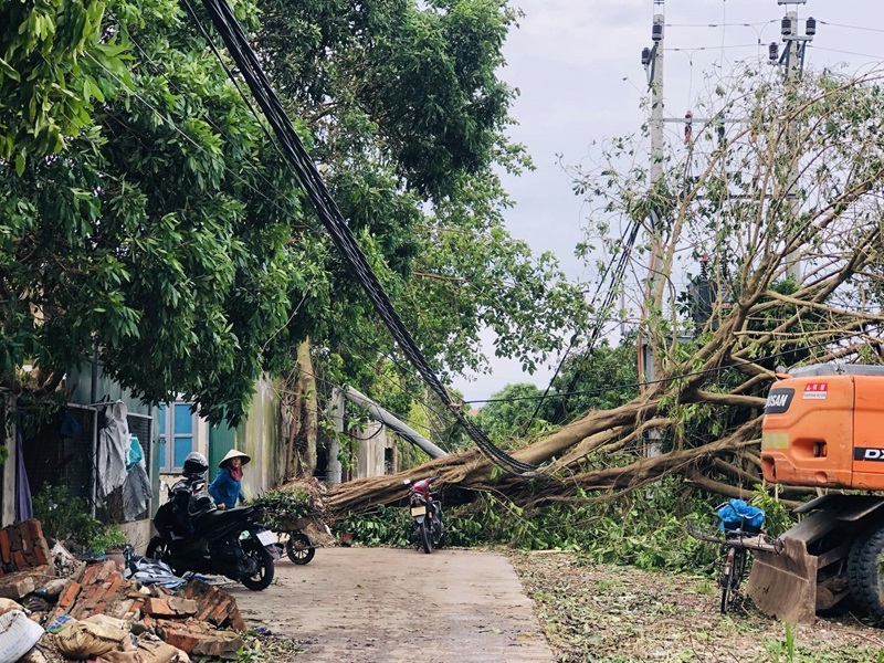 Hải Dương còn khoảng 220.000 khách hàng chưa có điện do bão
