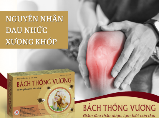 Bách Thống Vương - Giải pháp hỗ trợ giảm đau nhức xương khớp từ thảo dược