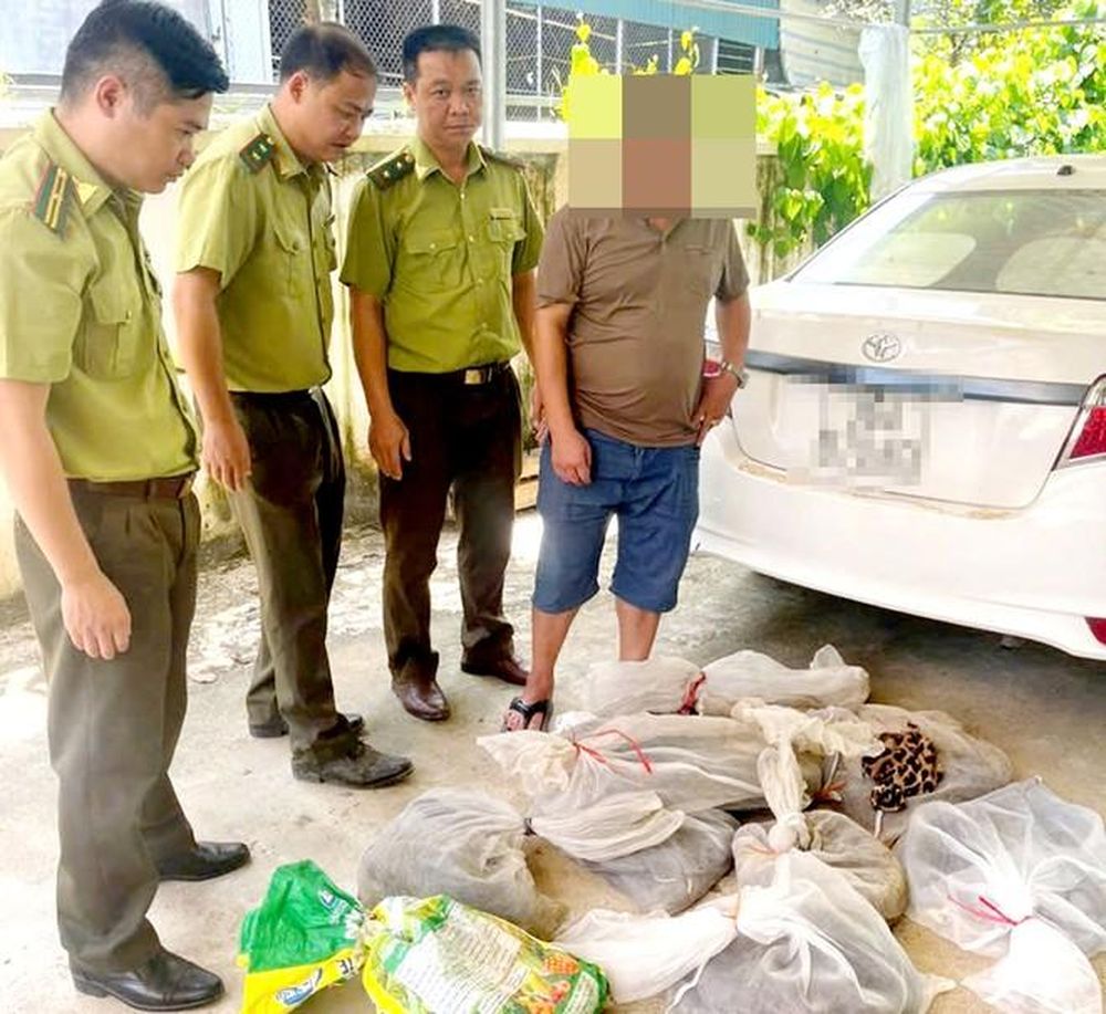 Phát hiện vụ vận chuyển động vật hoang dã trái phép số lượng lớn