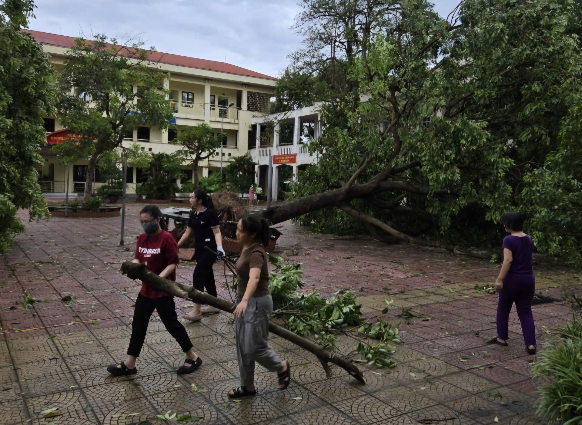 Bắc Ninh: Tiếp tục cho học sinh nghỉ học để khắc phục sự cố sau bão