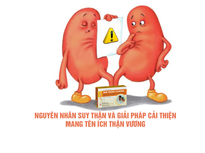 Nguyên nhân suy thận và giải pháp cải thiện mang tên Ích Thận Vương