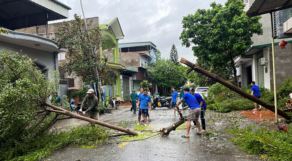 Các tình nguyện viên trong Tổ phản ứng nhanh của Đoàn Thanh niên hỗ trợ người dân dọn dẹp cây cối bị bão quật đổ tại nhiều tuyến đường, phố trong tỉnh.