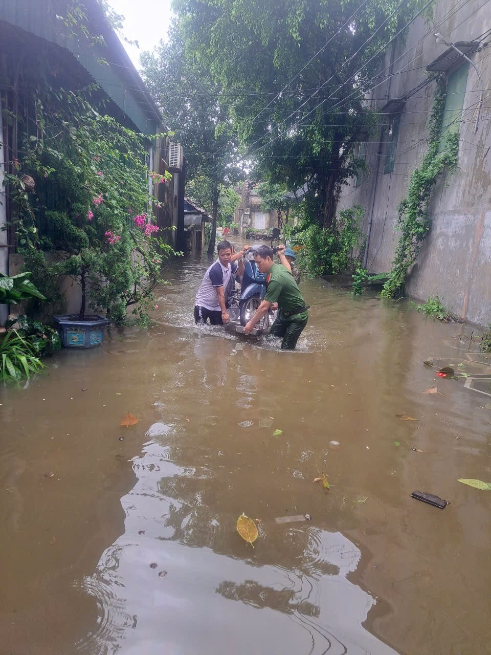 Việc di dân, tài sản ở vùng ven đê đang được chính quyền huyện Ý Yên triển khai khẩn trương.