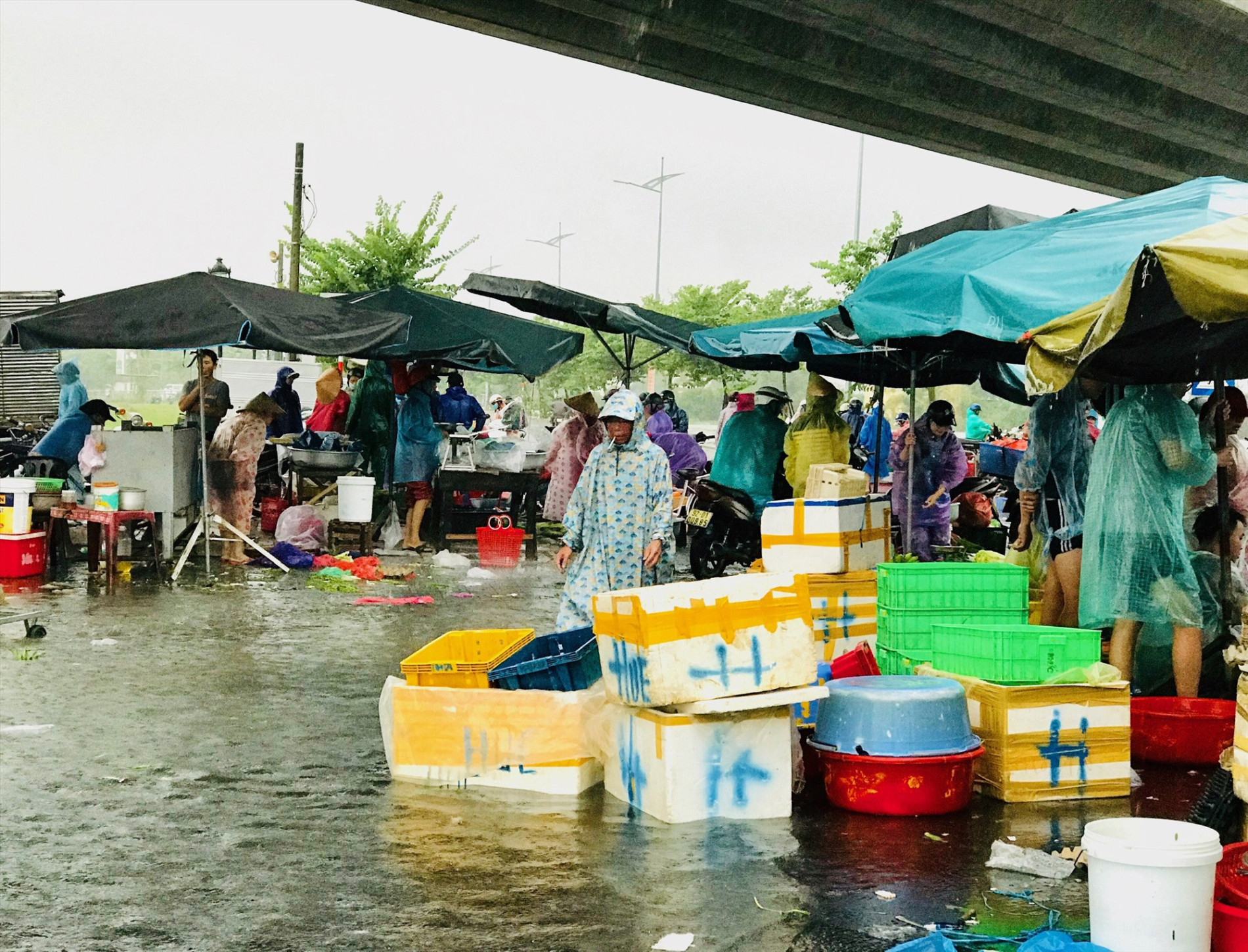 Cục An toàn thực phẩm (Bộ Y tế) đề nghị tăng cường công tác bảo đảm ATTP, phòng chống ngộ độc thực phẩm trong mùa Hè và mùa bão, lụt năm 2024