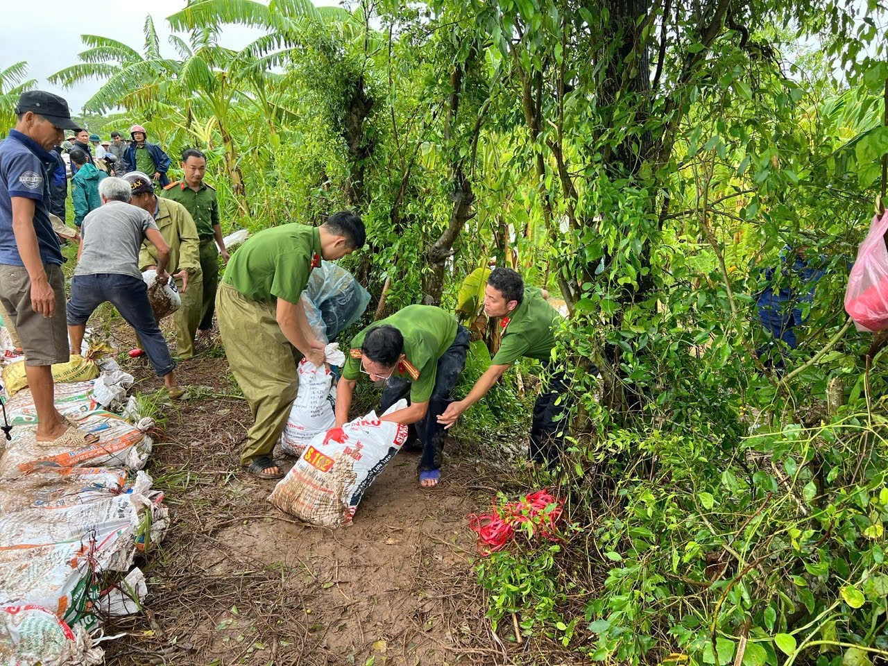 Huyện Ý Yên sẵn sàng lực lượng, vật tư, phương tiện để chủ động triển khai các phương án hộ đê, bảo vệ trọng điểm xung yếu đê điều.