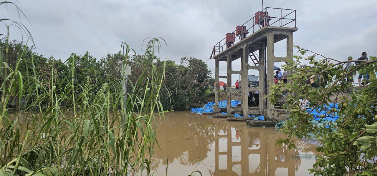 Đê và cống Giang Khẩu (xã Đại Thắng, Tiên Lãng, Hải Phòng) vẫn an toàn đến chiều 10.9