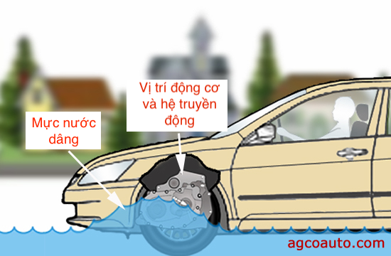 Mô tả sóng nước và mực nước tác động lên xe sedan gầm thấp. Ảnh: agcoauto