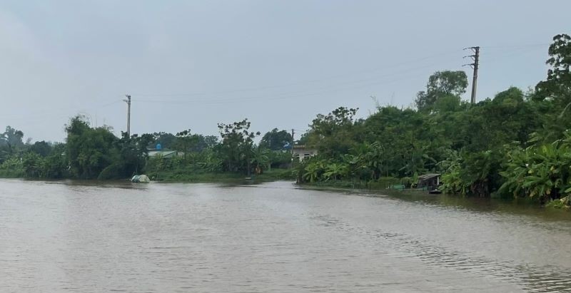 Nước sông Lèn qua các huyện Hậu Lộc, Hà Trung đang dâng cao vào đầu giờ chiều 12/9.