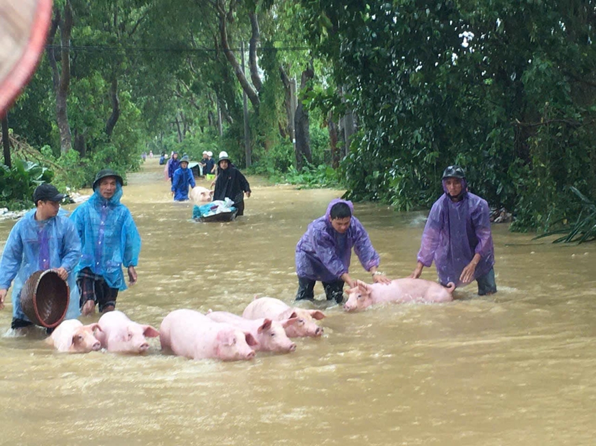 Ảnh báo Quân đội Nhân dân.