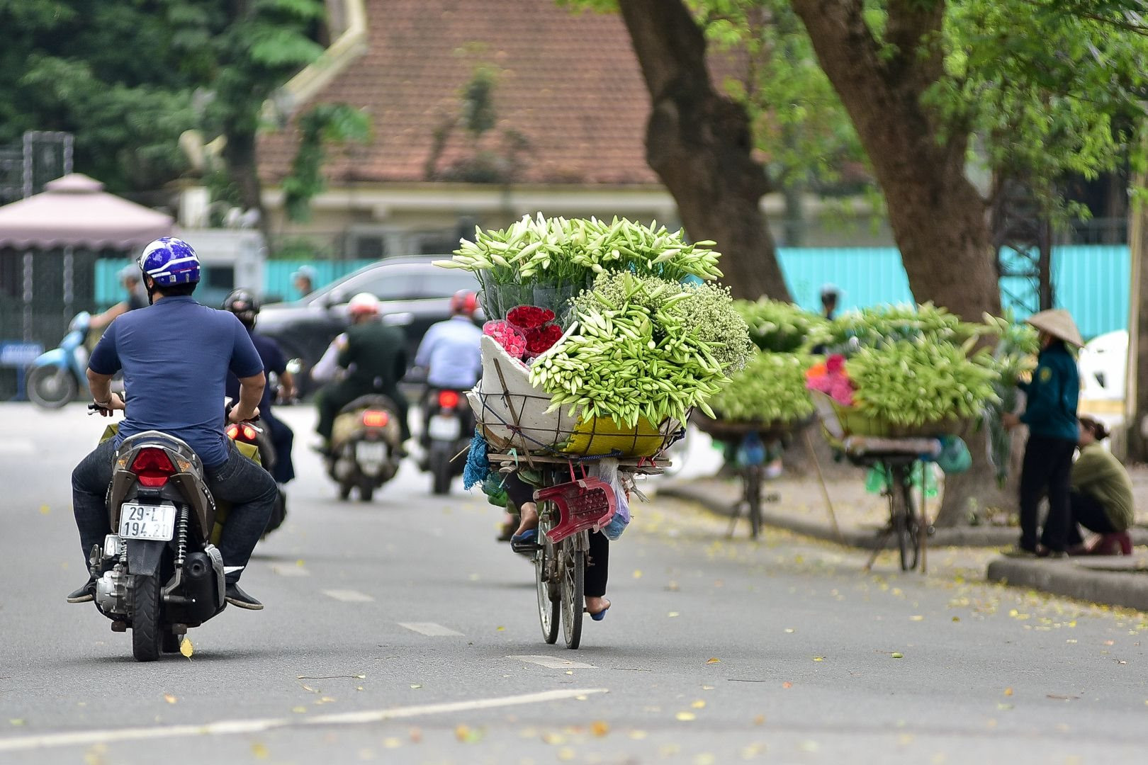 Hôm nay, miền Bắc đón nắng sau nhiều ngày mưa dông