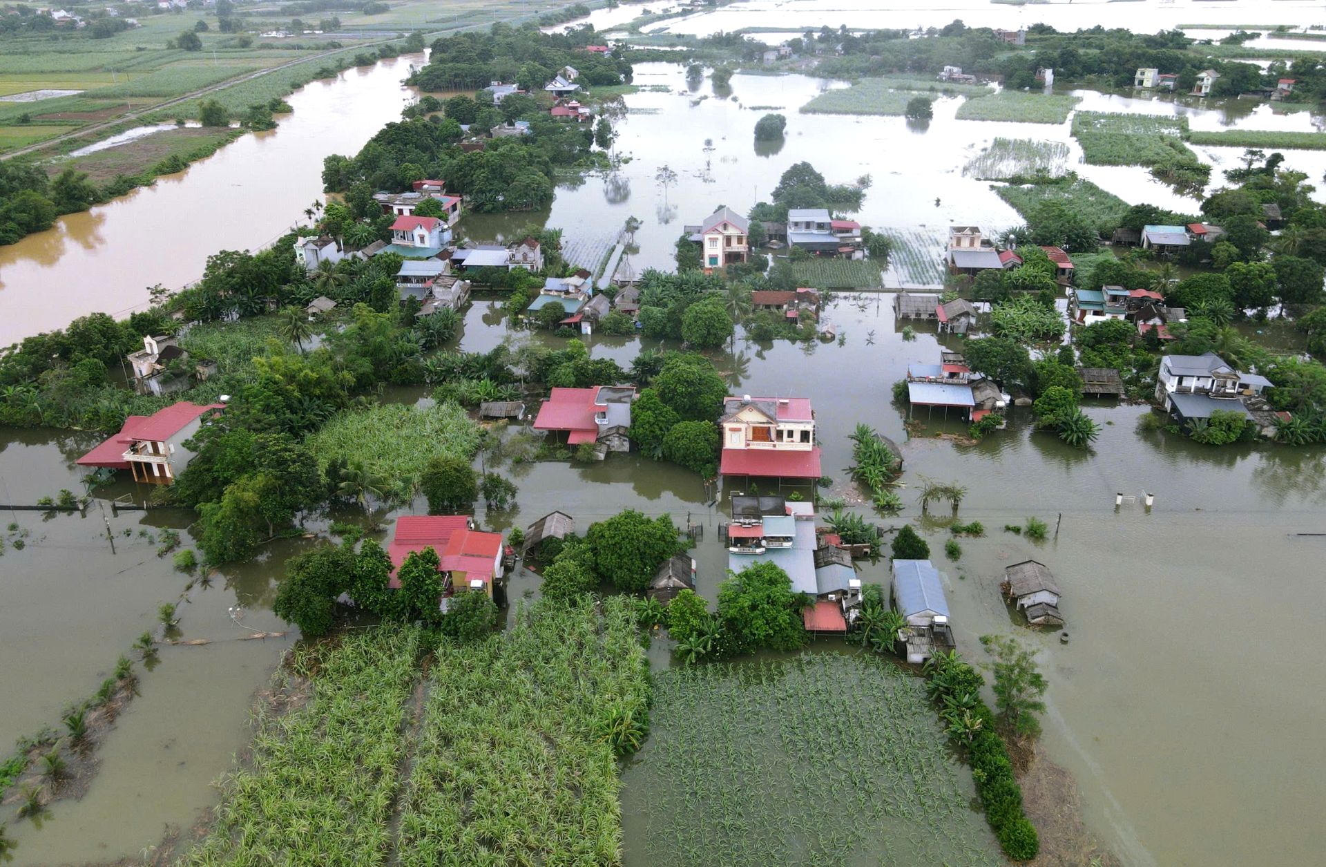 Cơn bão số 3 với mưa lớn diện rộng gây ngập nhiều khu dân cư tại huyện Thạch Thành, tỉnh Thanh Hóa