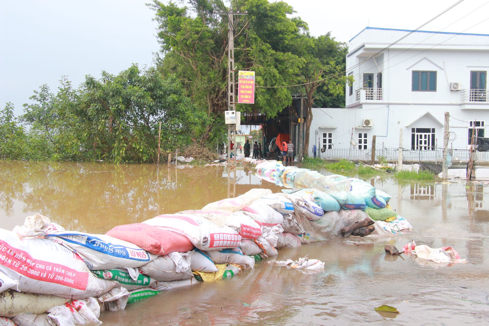 Nước sông Hồng dâng cao, tràn vào