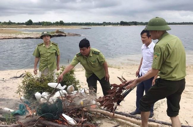 Lực lượng chức năng huyện Thạch Hà tiêu huỷ chim mồi giả.