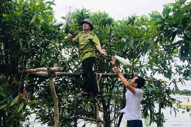 Lực lượng chức năng Thạch Hà phát hiện, tháo dỡ các lán lùm ẩn nấp đánh bắt chim.