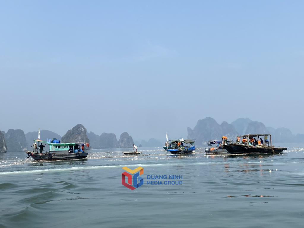 Tổng lực ra quân “3 ngày làm sạch Vịnh Hạ Long”
