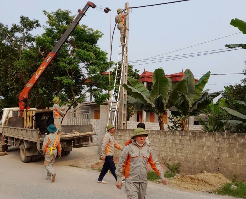 Công ty TNHH Điện lực Bắc Bình nâng cấp đường dây điện.