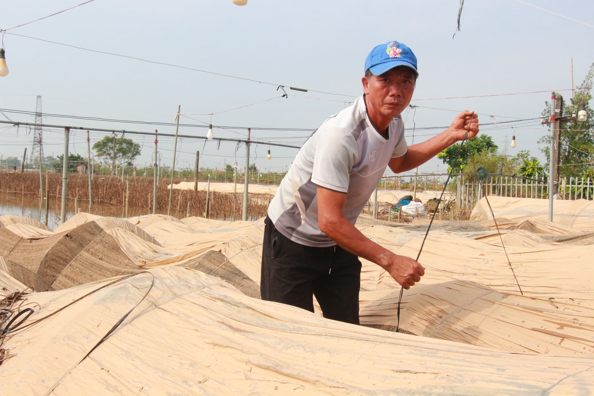 Ông Lý ước tính, thiệt hại lên đến gần 300 triệu đồng. Số tiền quá lớn, thời gian tới, ông chưa biết xoay sở nguồn vốn thế nào để tái sản xuất trở lại.