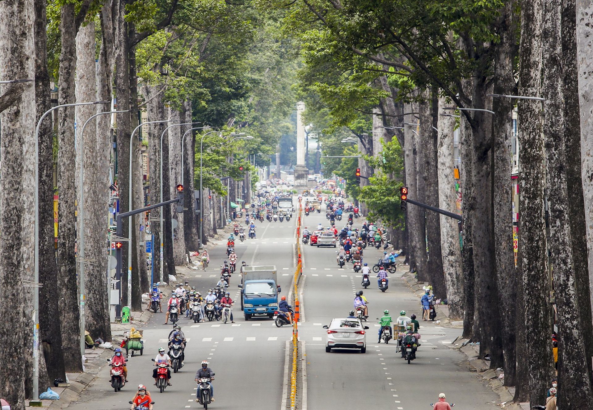 TP. Hồ Chí Minh thay thế, hạ thấp gần 3.000 cây xanh hư hại, mất an toàn