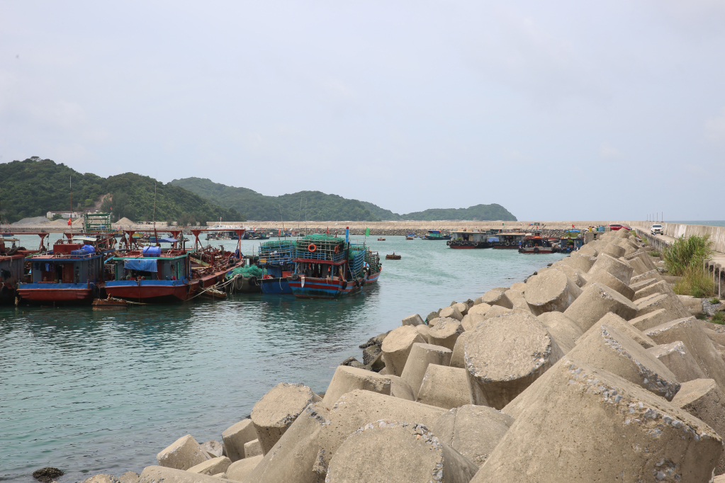 Hạng mục đê chắn sóng Khu neo đậu tránh trú bão cho tàu cá đảo Cô Tô đã hoàn thành đạt khoảng 25% khối lượng.