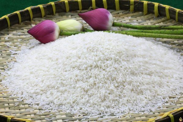 Giá lúa gạo hôm nay 24/9: Quay đầu giảm giá cả lúa và gạo