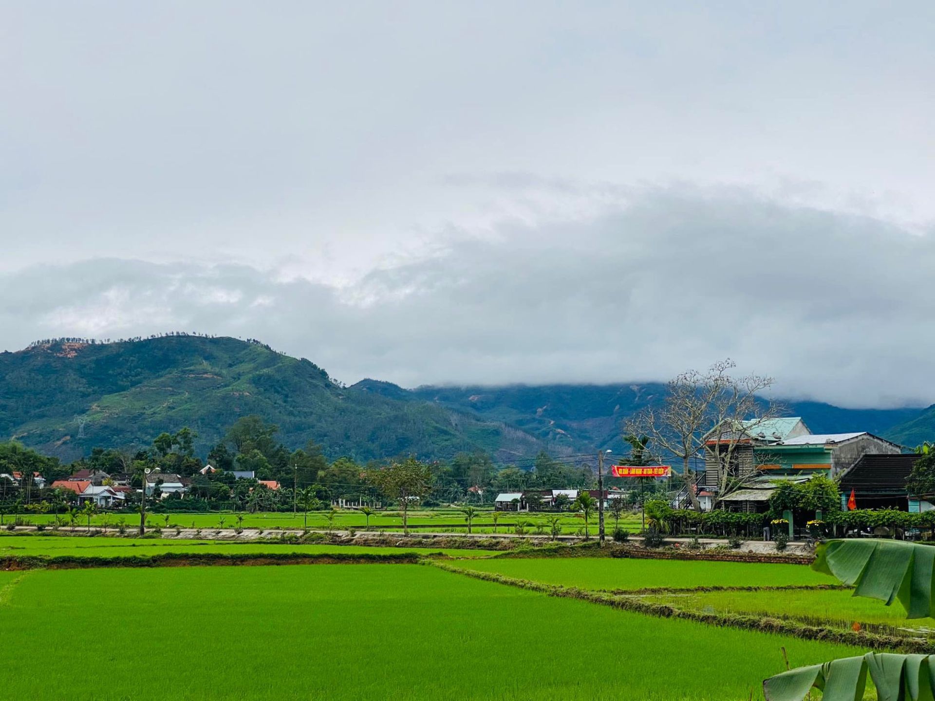 Những người bị ảnh hưởng bão số 3 có thể được giảm 15 - 30% tiền thuê đất năm 2024